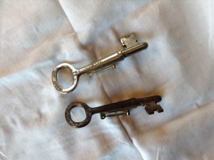 My two remaining promotional Boarders key pins.
