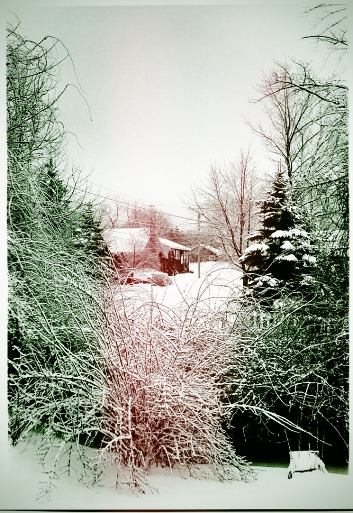 Digitally retouched to increase sentimental value, this is a view across the side yard at 103 Richland St., South Portland, Maine, where my family lived for many years. Harriette H. Hubley photo.